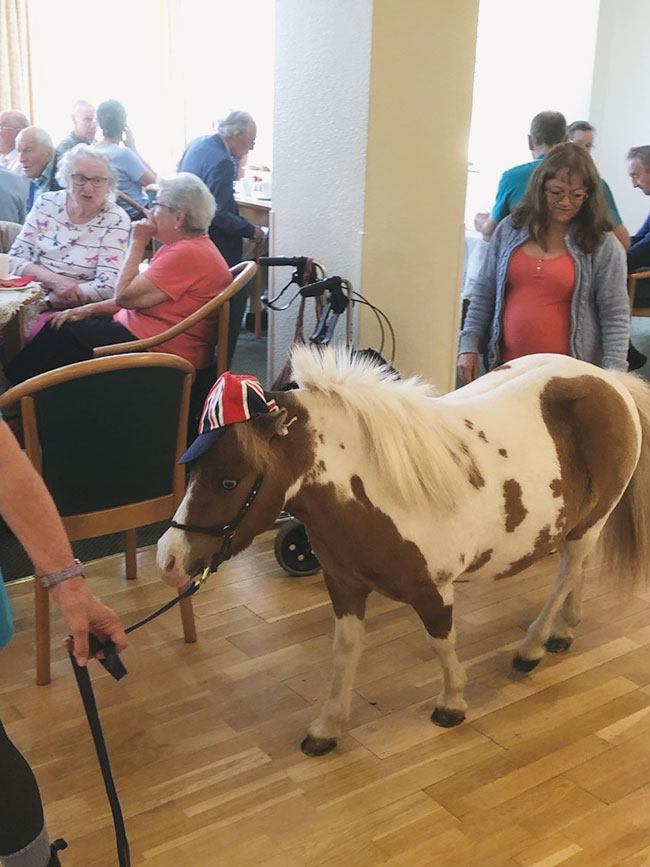 Unusual Visitor report....as featured in The Easingwold Advertiser & Weekly News 9th July 2022